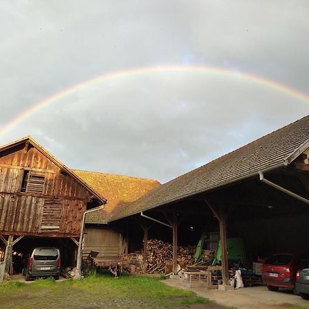 Chez Marguerite Gites A La Ferme Horbourg-Wihr Exterior foto