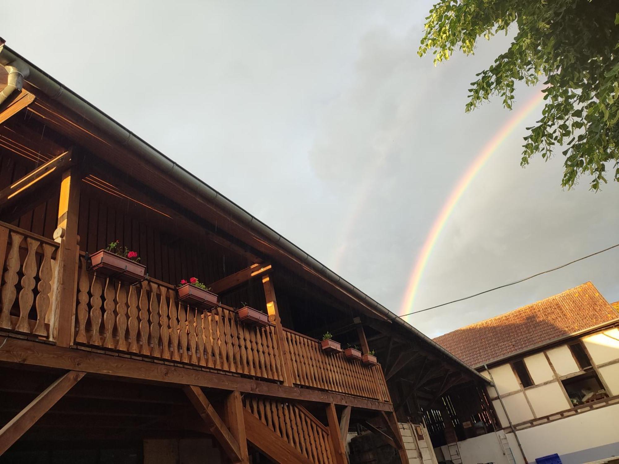 Chez Marguerite Gites A La Ferme Horbourg-Wihr Exterior foto