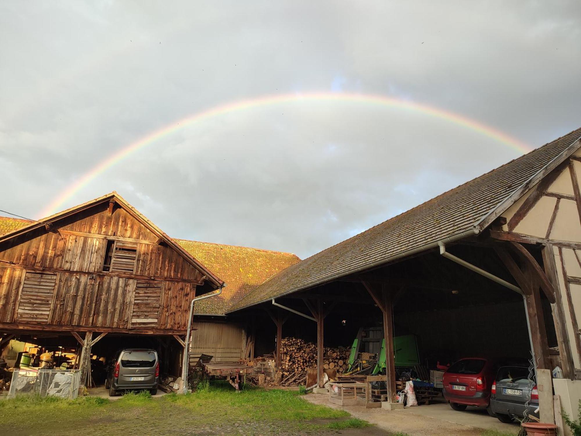 Chez Marguerite Gites A La Ferme Horbourg-Wihr Exterior foto