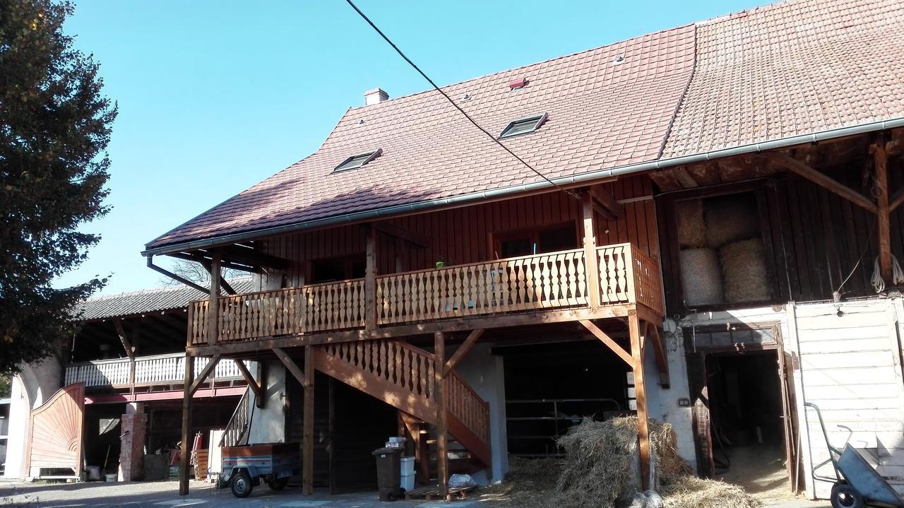 Chez Marguerite Gites A La Ferme Horbourg-Wihr Exterior foto